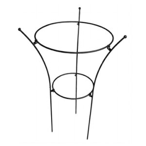 O[K[f@vgT|[gij No.420 igj