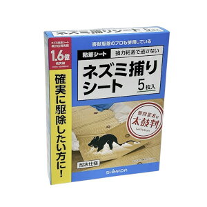 V}_@SV[g@lY~߂V[g@5@@532020@202508