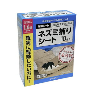 V}_@SV[g@lY~߂V[g@10@@532021@202508