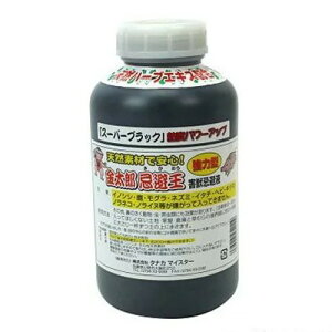 Y@@1L@12731@͌^Qbt@X[p[ubN@@202203q