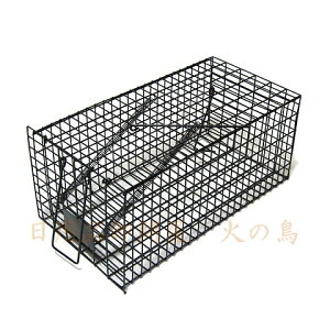 ~lbNX@lY~߂@p^ ijubN