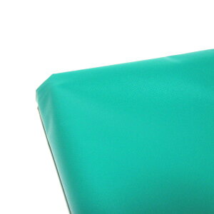 iGC@gbNV[g@TS-40TSG@^gbNp@260×445cm@TSGnEhV[g@@541004@202104