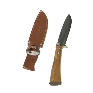 *\W[iCt@n@150mm@|t@t@@302021@202206