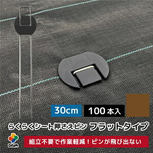 DAIM@炭炭V[gsytbg^Cvz30cm@100{@@518068@202302