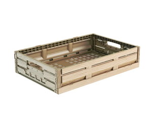 ؖڒ܂肽݃Rei[@6411@@201811