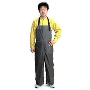 DIC@Tybg@G-300@t[TCYjp