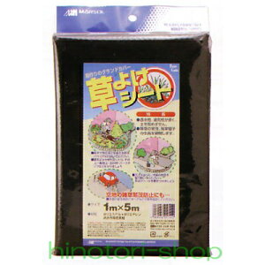 MARSOL@悯V[g1m×5m@