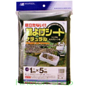 MARSOL@悯V[gi`@1m×5m
