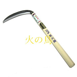 ʓ{@ő |@195mm@390mmt@100011@@201903