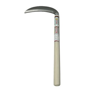 ʓ{@XeSLD|180mm@360mmەt@@100170@202405