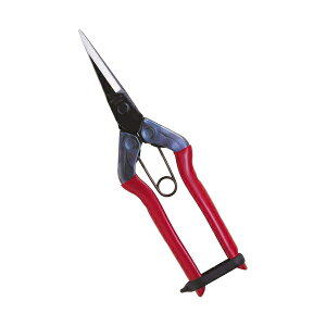 ߐ@@180mm@뒼n@T-550