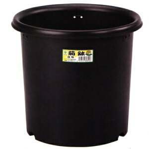 y20Zbgze@8@268mm@e 8L