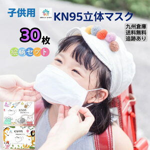 q}XN@ 30 ^@3D q KN95̃}XN t^@Ȃ sDz J[ RF KF94 4w@ECX@ėp}XN@̃}XN@MǑ΍ @