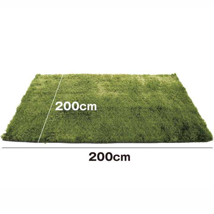 楽天市場】GRASS RUG グラスラグ 200×200【カーペット 床暖房 ホット 
