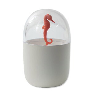 QUALY Cotton Bud Holder NI[ Rbgobhz_[yȖ_ Ȗ_P[X RbgP[X oX[z