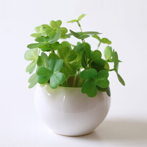 N[o[A[eBtBVO[yLObY C  ϗtA ltz