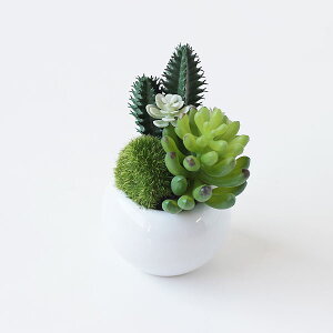 y|Cg10{zTLgtE LA[eBtBVO[yLObY C  ϗtA fIhg Az