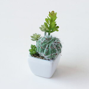 TLgtE LA[eBtBVO[yLObY C  ϗtA fIhg Az