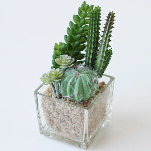 TLgtE LA[eBtBVO[yLObY C  ϗtA fIhgz