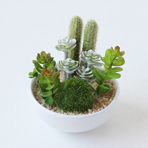 y|Cg10{zTLgtE LA[eBtBVO[yLObY C  ϗtA fIhgz