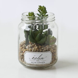 GNA LA[eBtBVO[ W[^CvyLV} LObY C  fIhg ϗtAz