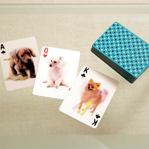 KIKKERLANDgvEAj}3DJ[h