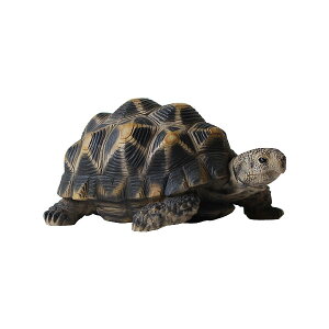 y|Cg10{zPET BANKEybgoNy magnet RCoN e jl T 肷 tBMA  G݁z