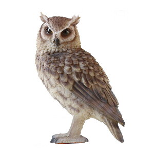 �y�|�C���g10�{�zPET BANK OWL �y�b�g �o���N �I�E���y������ magnet �R�C���o���N �t�N���E�z