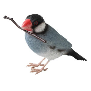 o[fB r Xp[y̒u AȒ ybg CeAz