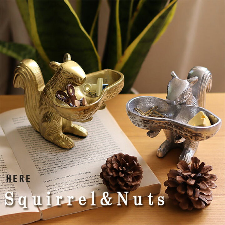 楽天市場】Squirrel ＆ Nuts スクウォーレル＆ナッツ リスモチーフの 
