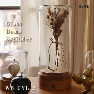 KXh[ V_[2yfBXvCP[X KXP[X V[P[X RNVP[X CeA IuWF h[P[Xz