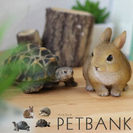 PET BANK・ペットバンク【貯金箱 magnet コインバンク 兎 針鼠 亀 りす フィギュア 動物 雑貨】