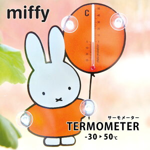 y|Cg10{z~btB[T[[^[y O xv miffy fBbNu[iz