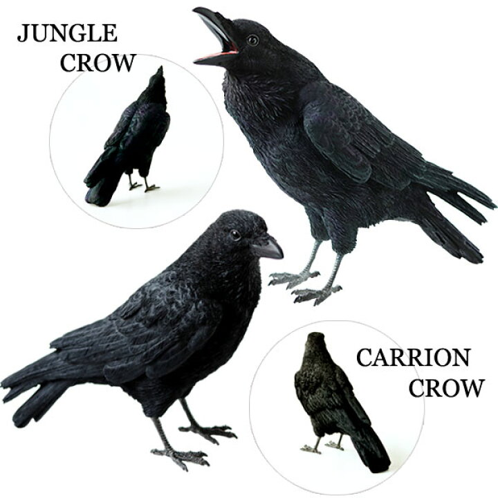 楽天市場 ポイント10倍 送料無料 Pet Bank Crow ペット バンク カラス 貯金箱 コインバンク フィギュア 動物 アニマル インテリア 置物 エフシーインテリア