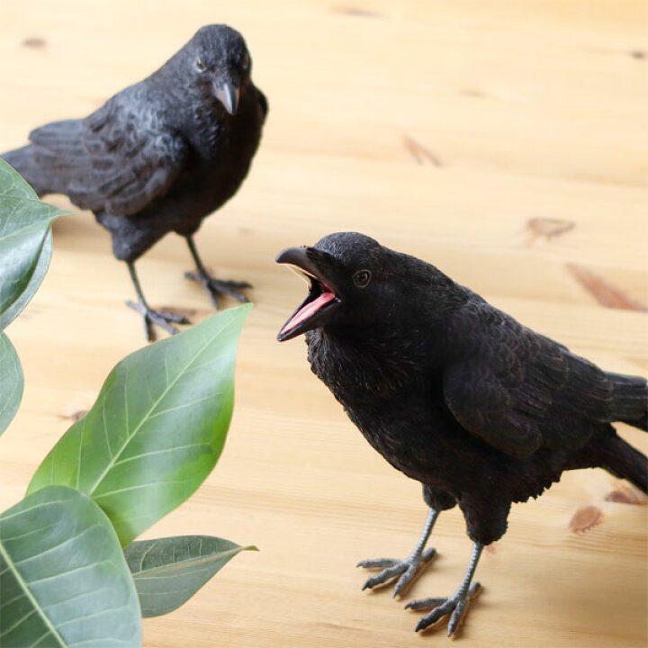 楽天市場 ポイント10倍 送料無料 Pet Bank Crow ペット バンク カラス 貯金箱 コインバンク フィギュア 動物 アニマル インテリア 置物 エフシーインテリア
