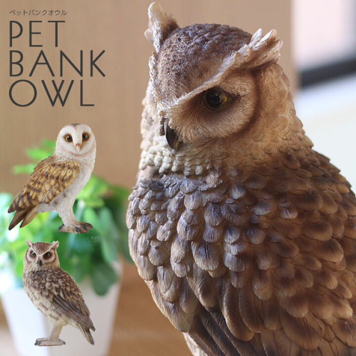 楽天市場 送料無料 Pet Bank Toucan ペットバンク トーカン 貯金箱 Magnet コインバンク オオハシ フィギュア 動物 雑貨 エフシーインテリア