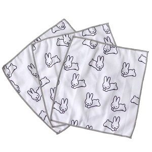 }CNt@Co[ӂ Dick Brunayz mg[ IV  miffy R hL z Lb`NXz