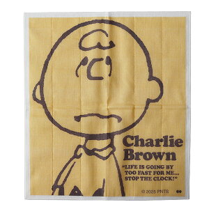 y|Cg10{zs[ibc fBbVNX ␶nӂyPEANUTS z ؂ NX _X^[ Cv ᒠ Lb`^Iz