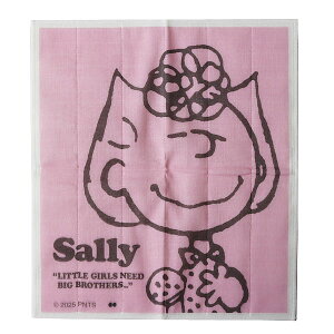 s[ibc fBbVNX ␶nӂyPEANUTS z ؂ NX _X^[ Cv ᒠ Lb`^Iz