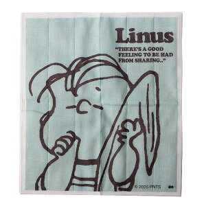 s[ibc fBbVNX ␶nӂyPEANUTS z ؂ NX _X^[ Cv ᒠ Lb`^Iz