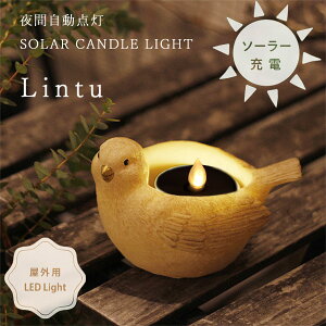 y|Cg10{zLintu gD \[[LhCgyK[fCg \[[Cg v Ɩ O  GgX LEDLhz