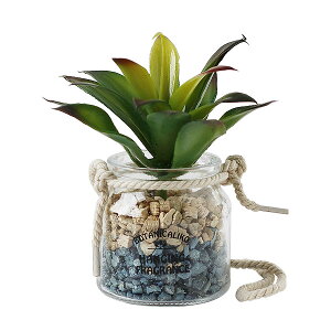 BOTANICALIKOE{^jJR nMOtOXyJ} F u^ ݂邷 tFCNO[z