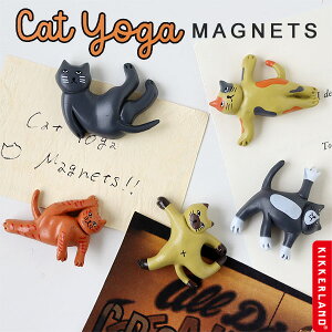 KIKKERLAND Lbg K }OlbgyLbJ[h ˂ L j[NG Xe[Vi[ ΁z