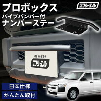 楽天市場】ナンバーフレーム プロボックスの通販