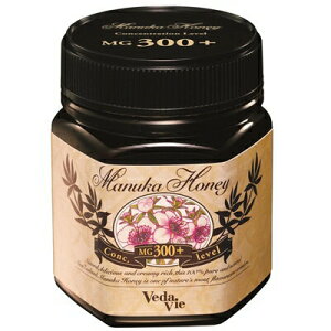 y݁z F[_B }kJnj[ MG300+@ 250g yKiz