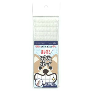 KPS }EXN[i[ IN`uV ҂|C 30  L f^PA }EXPAyP[s[GXz