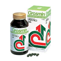 グロスミンの通販・価格比較 - 価格.com