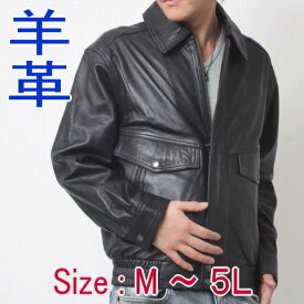 Freedom 革ジャン メンズ ファッション 大きいサイズ S M L LL 3L 4L 5L ビッグサイズ アウター ジャンパー ブルゾン レザージャケット 柔らかい 軽い ブラック ギフト バレンタイン プレゼント 父の日 送料無料 あす楽 フリーダムレザー 2721