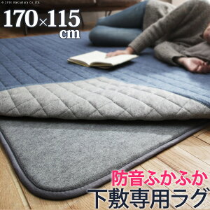 ���O ���~�� ���� �h���ӂ��ӂ����~��p���O �k�ӂ��s�^�l 170x115cm (1.5���p) �����` �ӂ����� �J�[�y�b�g ���O�}�b�g �􂦂� ���g�[ �z�b�g�J�[�y�b�g�Ή� ���r���O ����~�� �X�~�m�G�ymb�z