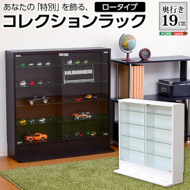 送料無料 コレクションラック【-Luke-ルーク】浅型ロータイプ【so】